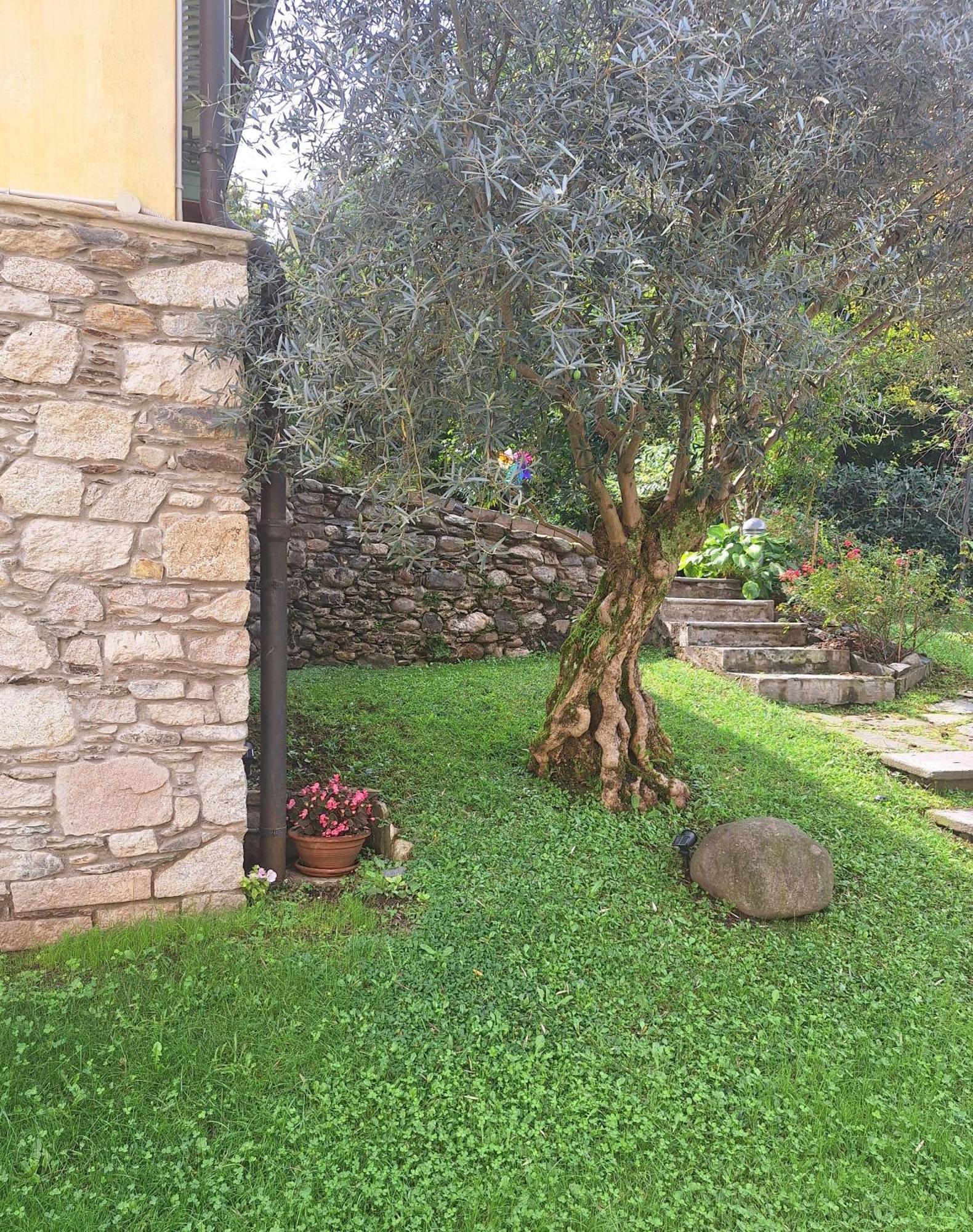 La Dependance Immersa Nel Parco Della Villa Isabella Stresa Luaran gambar